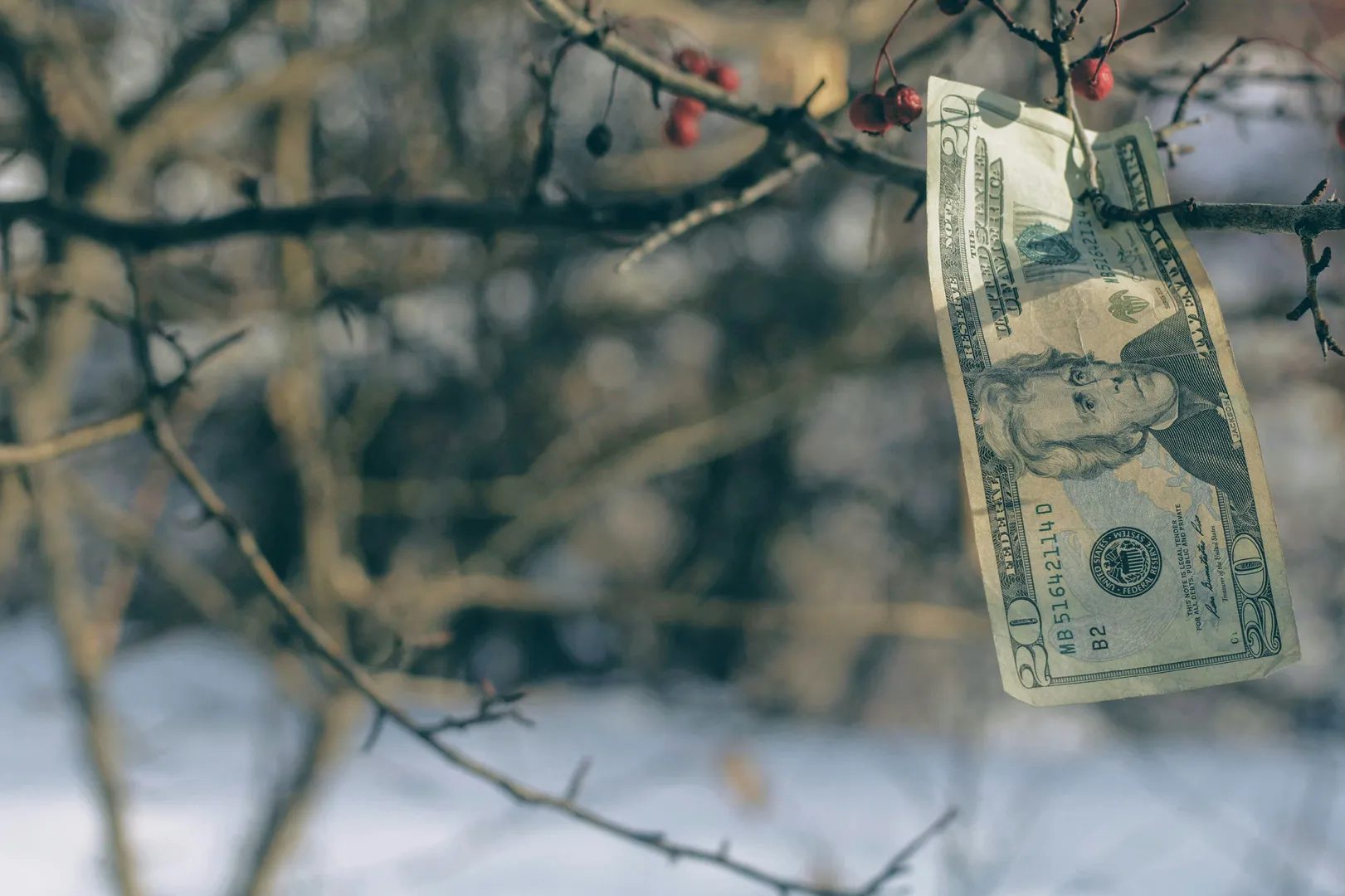 Pourquoi investir dans l'immobilier malgré la crise ?