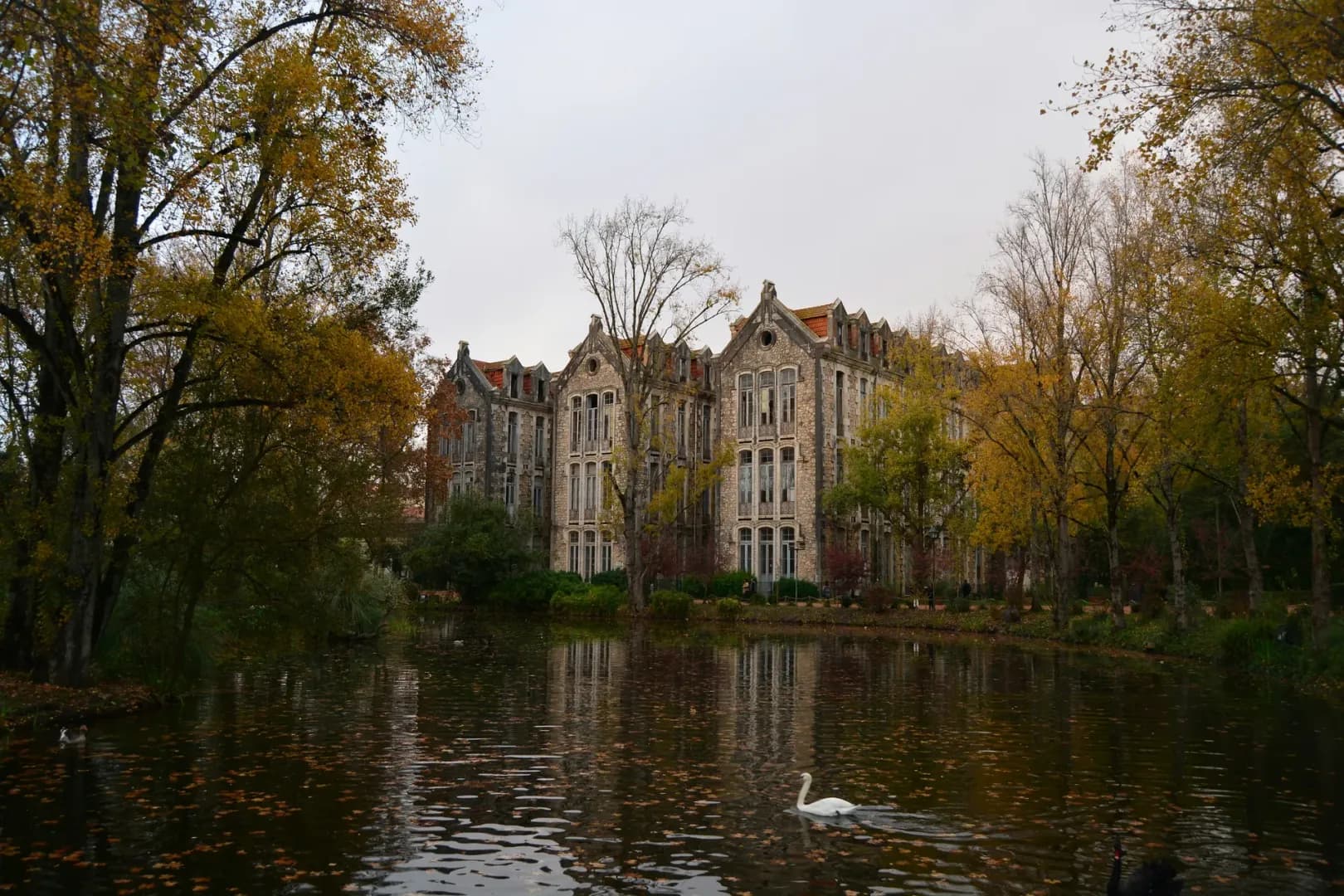 Investir dans l’immobilier ancien ou récent à Perpignan : que choisir ?