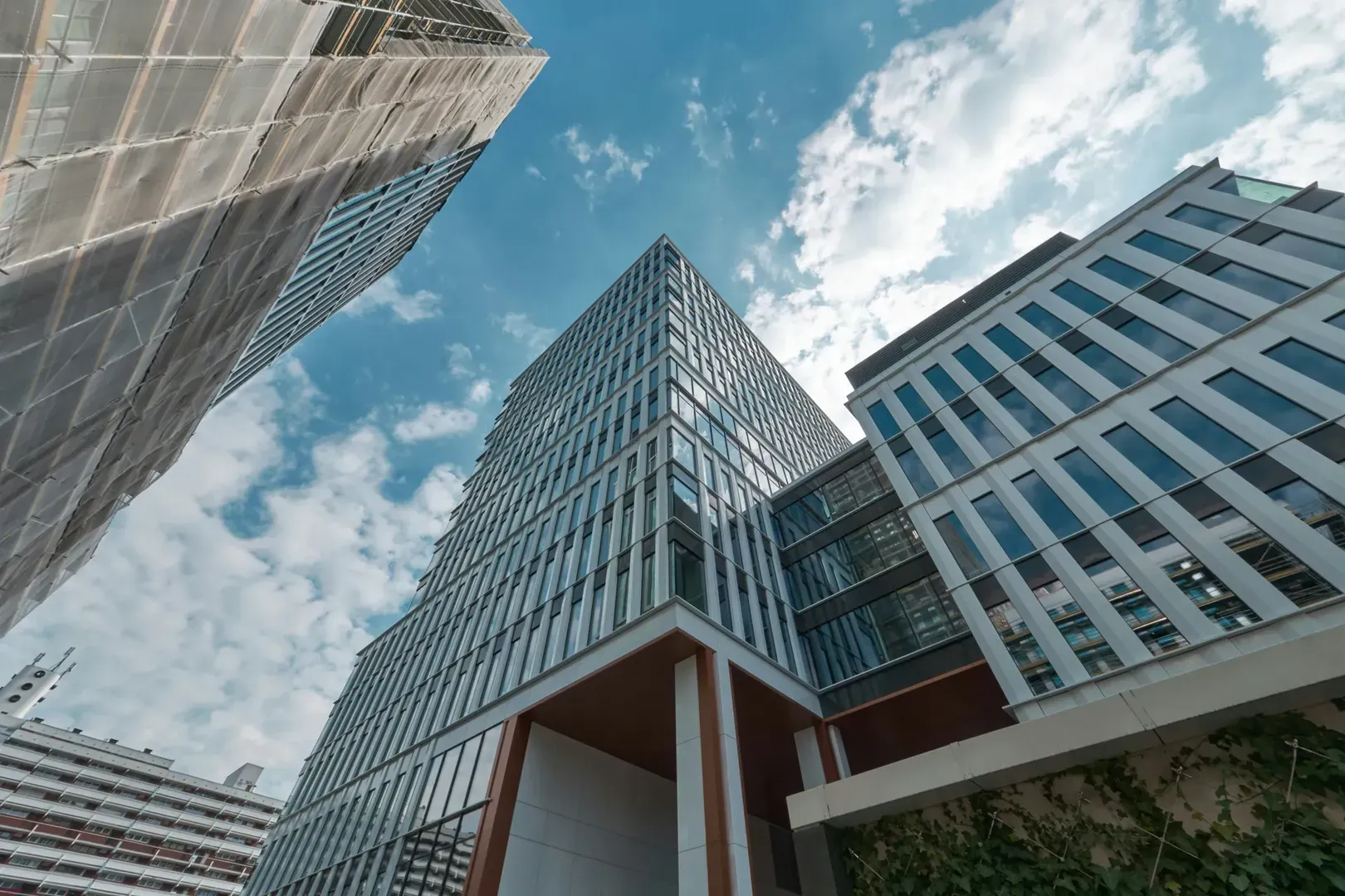 Comment la transition écologique transforme le secteur immobilier