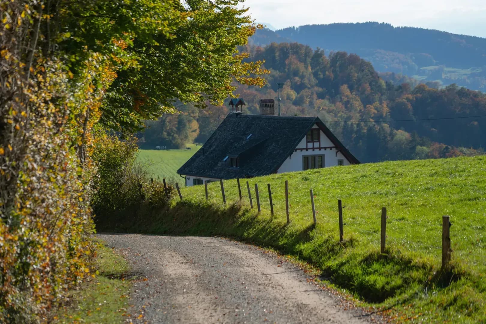 L’investissement locatif en zone rurale : opportunités à saisir