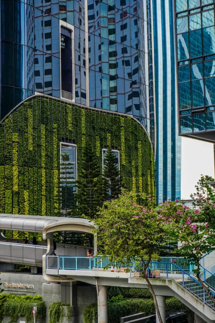 JO de Paris : un an plus tard, le village olympique ouvre enfin ses portes aux habitants