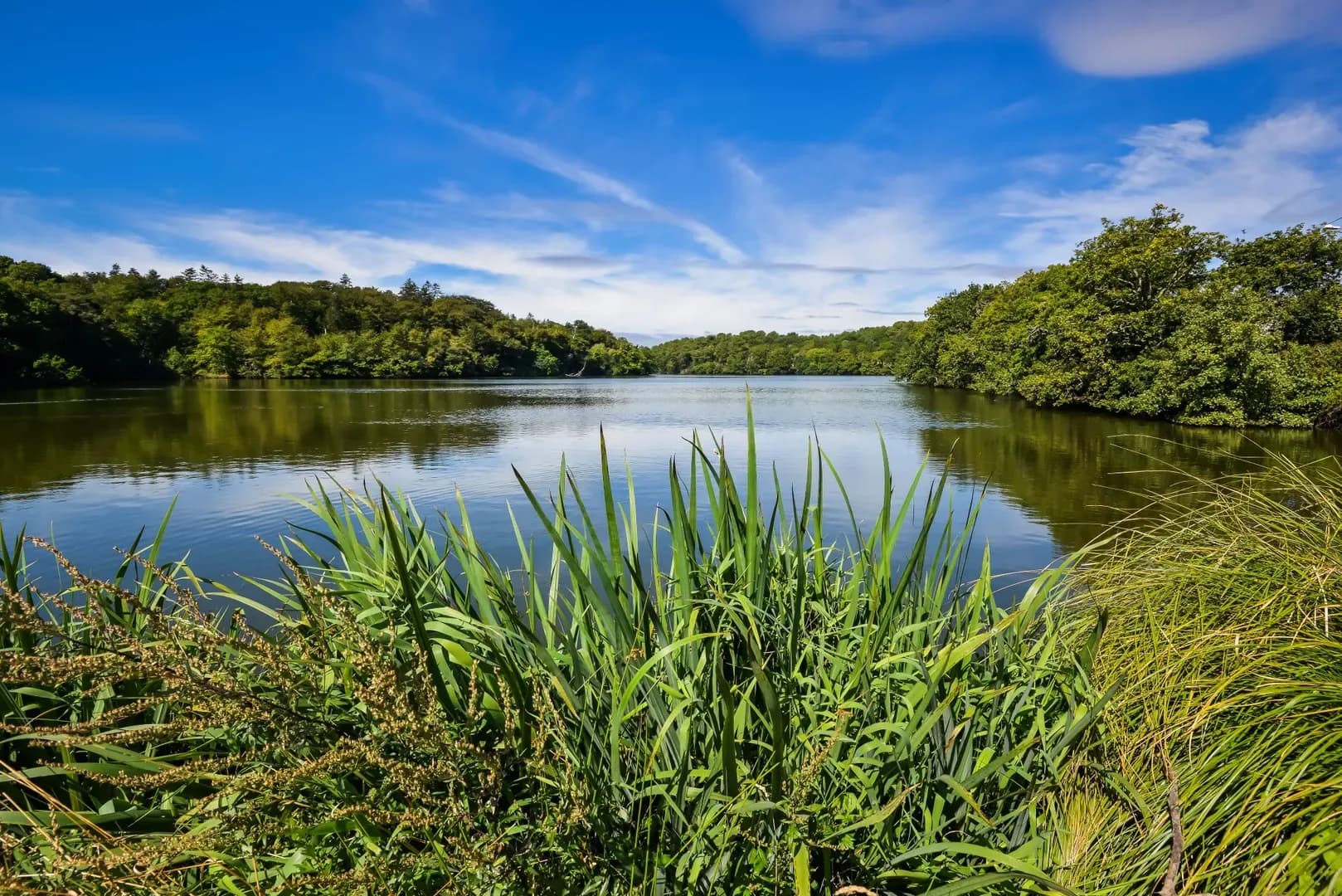 Investir à Lorient – Quartier Le Ter