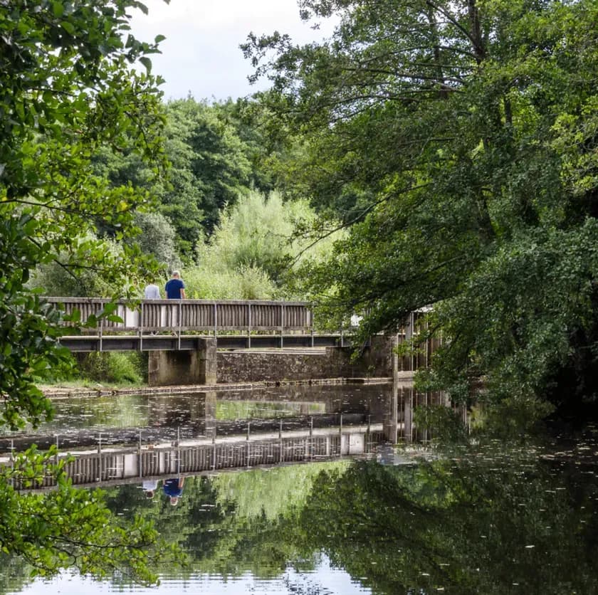 Investir à Moulin Vert