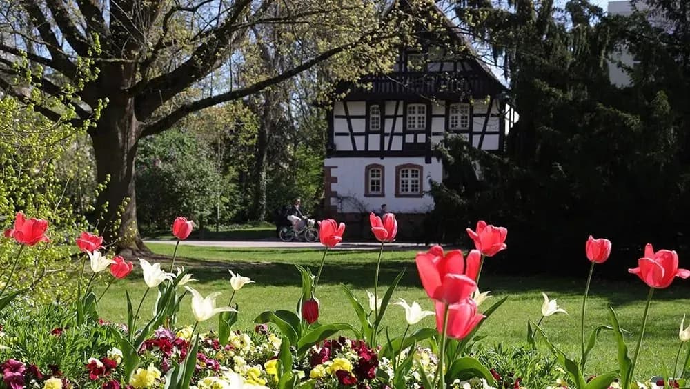 Investir à Nancy – Mon Désert, Jeanne d’Arc, Saurupt, Clémenceau