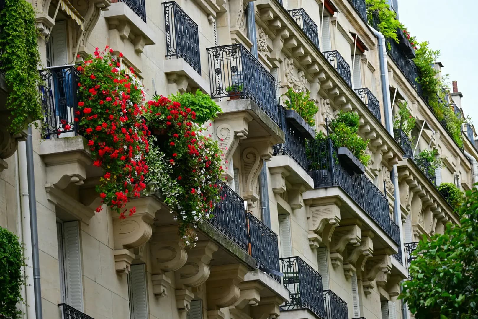 Trop de meublés touristiques à Montpellier ? La Métropole limite leur nombre